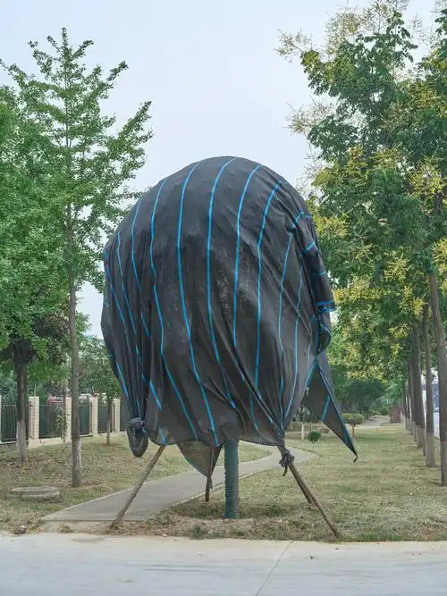 ΢ʲô