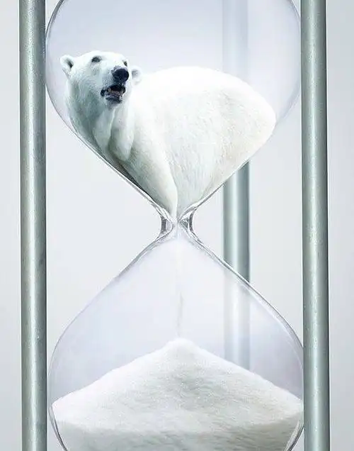 ôģ⹫澫ѡ